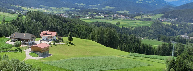The Zangerlechn farm in Reischach