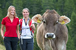 Urlaub auf dem Bauernhof in Reischach