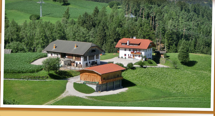 Tiere am Bauernhof Familien-Urlaub am Zangerlechnhof am Kronplatz - Südtirol