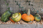 Holidays at the Zangerlechn Farm