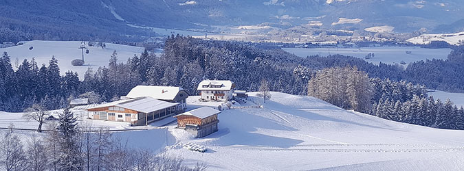 Zangerlechnhof am Fuße des Kronplatzes